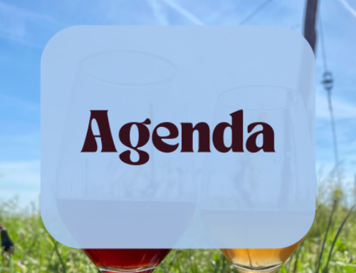 Agenda