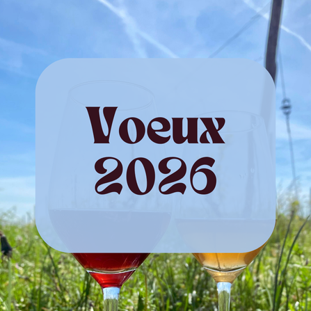 Voeux 2026 – Visuel site